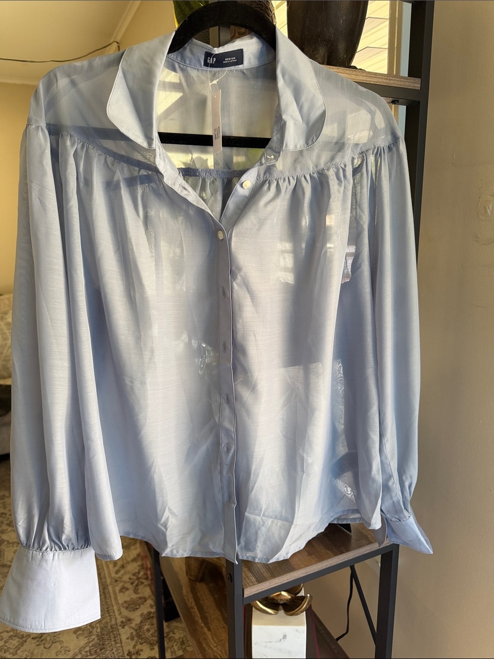 GAP Pale Blue Sheer Button-Down Blouse